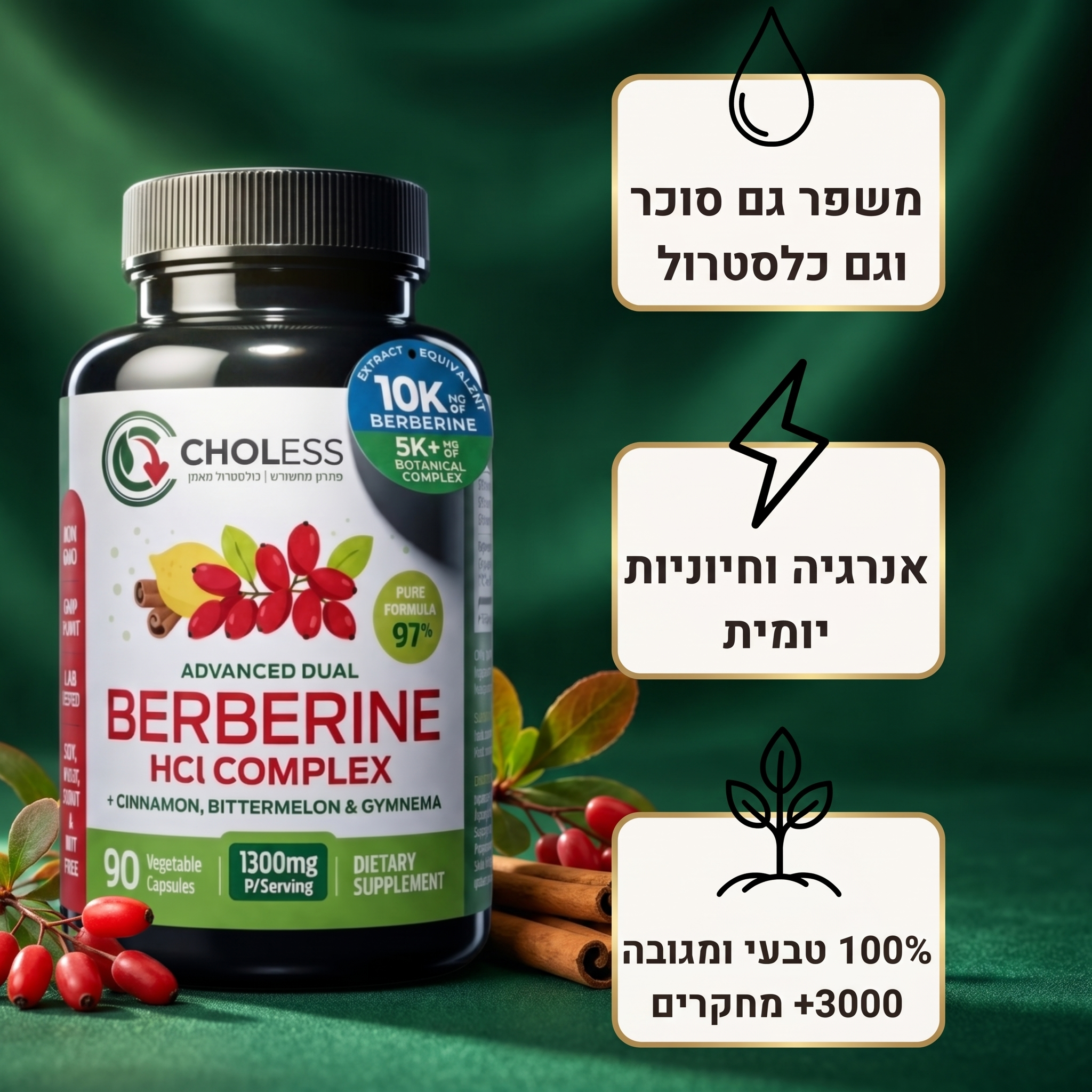 CHOLESS — פתרון מתקדם להורדת כולסטרול ואיזון פרופיל השומנים בדם
