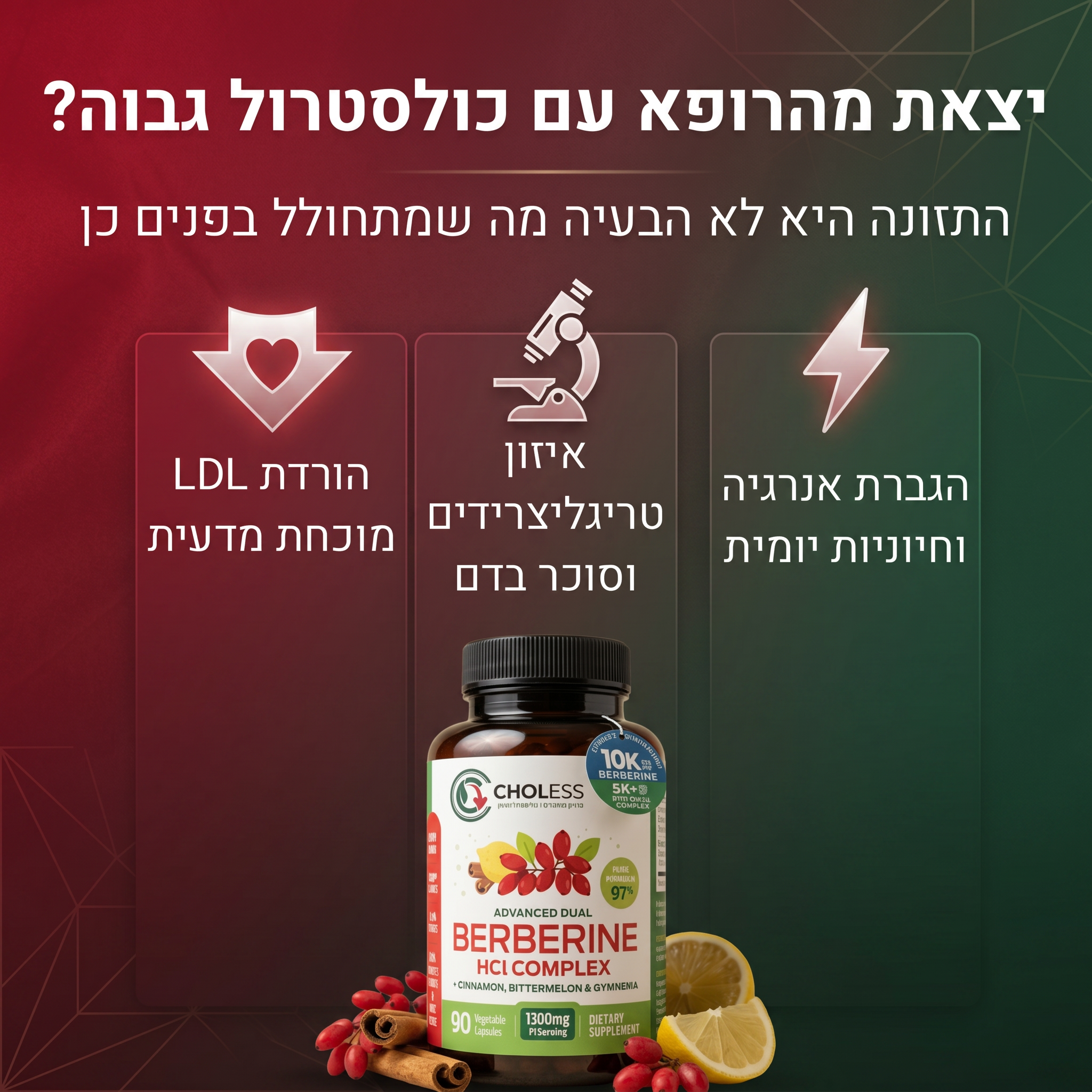 CHOLESS — פתרון מתקדם להורדת כולסטרול ואיזון פרופיל השומנים בדם