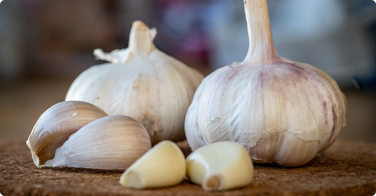 תמצית שום מיושן (Aged Garlic Extract)